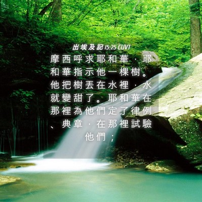 Picture 04 - 出 埃 及 記 15:25 CUVT - 摩 西 呼 求 耶 和 華 ， 耶 和 華 指 - Bible Verse Picture
