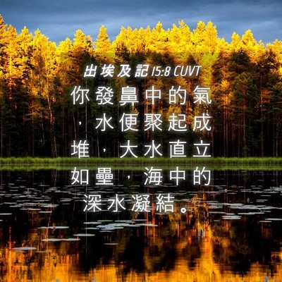 Picture 04 - 出 埃 及 記 15:8 CUVT - 你 發 鼻 中 的 氣 ， 水 便 聚 起 成 - Bible Verse Picture