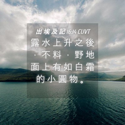 Picture 04 - 出 埃 及 記 16:14 CUVT - 露 水 上 升 之 後 ， 不 料 ， 野 地 - Bible Verse Picture