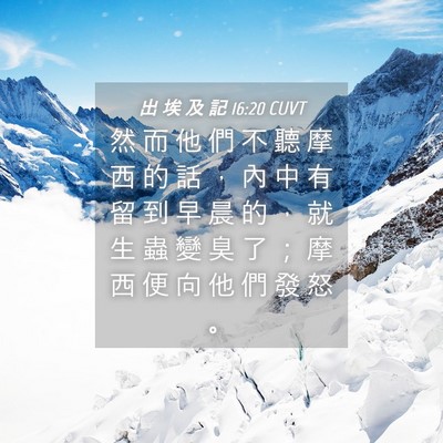 Picture 04 - 出 埃 及 記 16:20 CUVT - 然 而 他 們 不 聽 摩 西 的 話 ， 內 - Bible Verse Picture