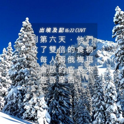 Picture 04 - 出 埃 及 記 16:22 CUVT - 到 第 六 天 ， 他 們 收 了 雙 倍 的 - Bible Verse Picture