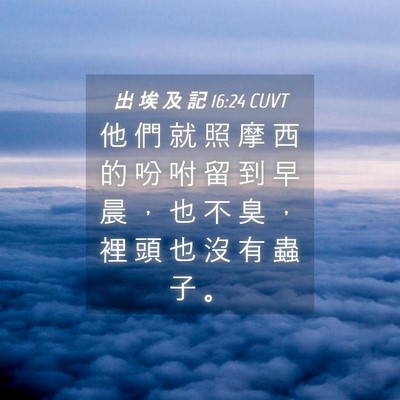 Picture 04 - 出 埃 及 記 16:24 CUVT - 他 們 就 照 摩 西 的 吩 咐 留 到 早 - Bible Verse Picture