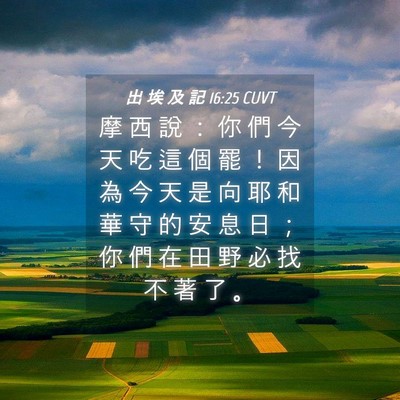 Picture 04 - 出 埃 及 記 16:25 CUVT - 摩 西 說 ： 你 們 今 天 吃 這 個 罷 - Bible Verse Picture