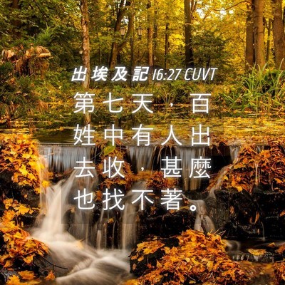 Picture 04 - 出 埃 及 記 16:27 CUVT - 第 七 天 ， 百 姓 中 有 人 出 去 收 - Bible Verse Picture