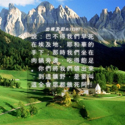 Picture 04 - 出 埃 及 記 16:3 CUVT - 說 ： 巴 不 得 我 們 早 死 在 埃 及 - Bible Verse Picture