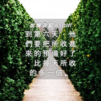 Picture 04 - 出 埃 及 記 16:5 CUVT - 到 第 六 天 ， 他 們 要 把 所 收 進 - Bible Verse Picture