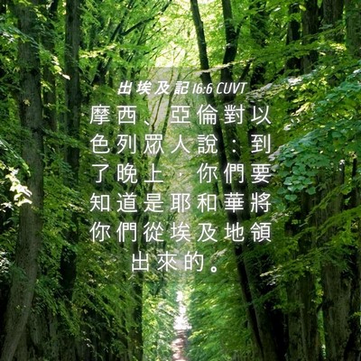 Picture 04 - 出 埃 及 記 16:6 CUVT - 摩 西 、 亞 倫 對 以 色 列 眾 人 說 - Bible Verse Picture