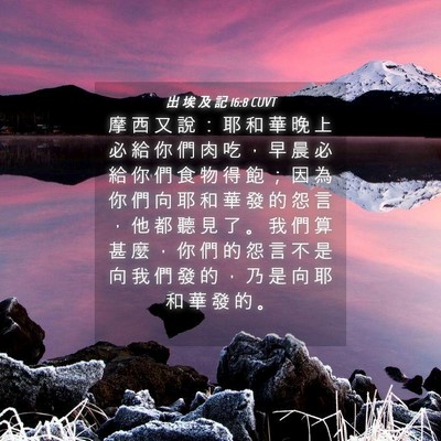 Picture 04 - 出 埃 及 記 16:8 CUVT - 摩 西 又 說 ： 耶 和 華 晚 上 必 給 - Bible Verse Picture