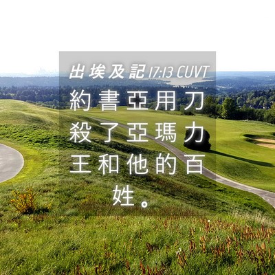 Picture 04 - 出 埃 及 記 17:13 CUVT - 約 書 亞 用 刀 殺 了 亞 瑪 力 王 和 - Bible Verse Picture