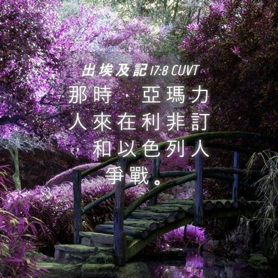 Picture 04 - 出 埃 及 記 17:8 CUVT - 那 時 ， 亞 瑪 力 人 來 在 利 非 訂 - Bible Verse Picture