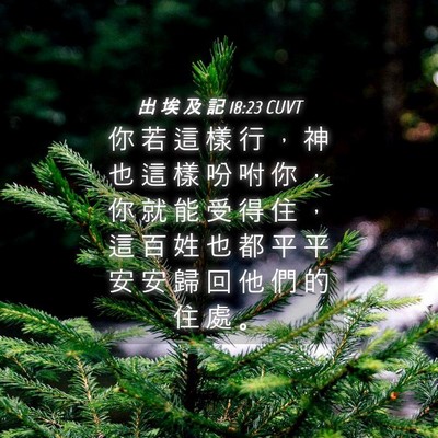 Picture 04 - 出 埃 及 記 18:23 CUVT - 你 若 這 樣 行 ， 神 也 這 樣 吩 咐 - Bible Verse Picture