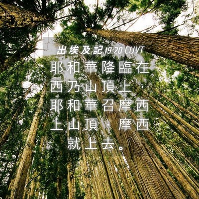 Picture 04 - 出 埃 及 記 19:20 CUVT - 耶 和 華 降 臨 在 西 乃 山 頂 上 ， - Bible Verse Picture