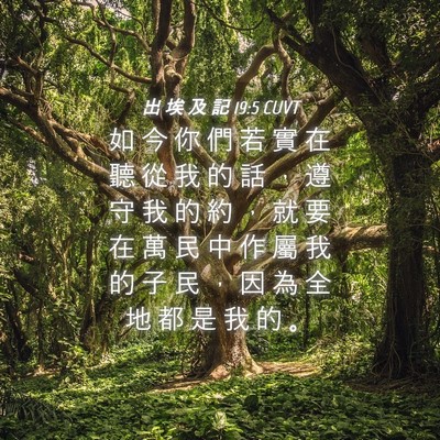 Picture 04 - 出 埃 及 記 19:5 CUVT - 如 今 你 們 若 實 在 聽 從 我 的 話 - Bible Verse Picture