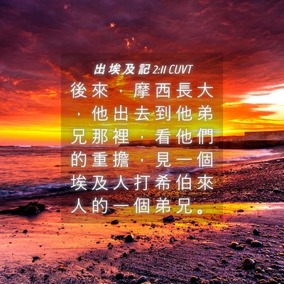Picture 04 - 出 埃 及 記 2:11 CUVT - 後 來 ， 摩 西 長 大 ， 他 出 去 到 - Bible Verse Picture