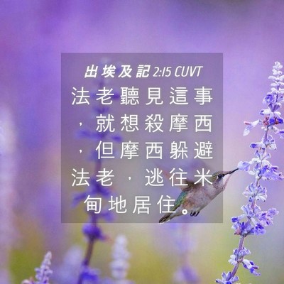 Picture 04 - 出 埃 及 記 2:15 CUVT - 法 老 聽 見 這 事 ， 就 想 殺 摩 西 - Bible Verse Picture