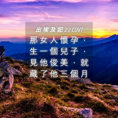 Picture 04 - 出 埃 及 記 2:2 CUVT - 那 女 人 懷 孕 ， 生 一 個 兒 子 ， - Bible Verse Picture