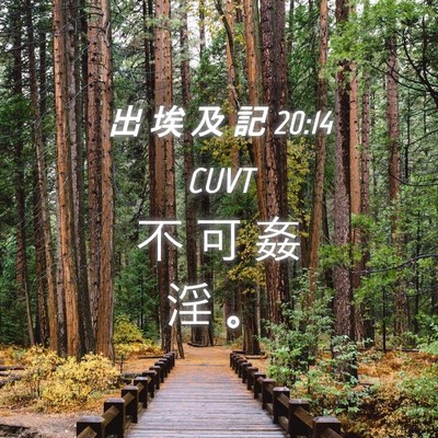 Picture 04 - 出 埃 及 記 20:14 CUVT - 不 可 姦 淫 - Bible Verse Picture