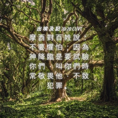 Picture 04 - 出 埃 及 記 20:20 CUVT - 摩 西 對 百 姓 說 ： 不 要 懼 怕 ； - Bible Verse Picture