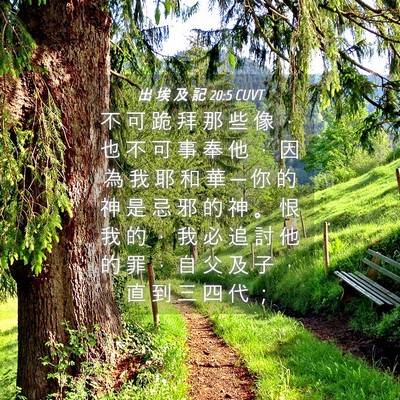 Picture 04 - 出 埃 及 記 20:5 CUVT - 不 可 跪 拜 那 些 像 ， 也 不 可 事 - Bible Verse Picture