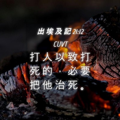 Picture 04 - 出 埃 及 記 21:12 CUVT - 打 人 以 致 打 死 的 ， 必 要 把 他 - Bible Verse Picture