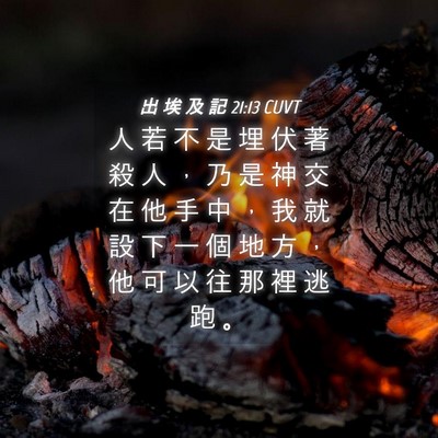 Picture 04 - 出 埃 及 記 21:13 CUVT - 人 若 不 是 埋 伏 著 殺 人 ， 乃 是 - Bible Verse Picture