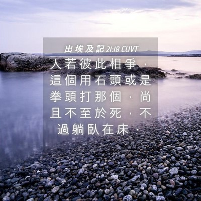 Picture 04 - 出 埃 及 記 21:18 CUVT - 人 若 彼 此 相 爭 ， 這 個 用 石 頭 - Bible Verse Picture