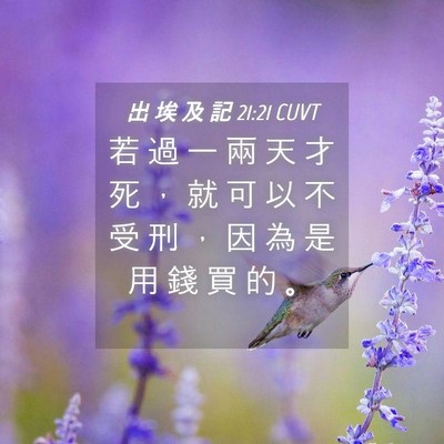 Picture 04 - 出 埃 及 記 21:21 CUVT - 若 過 一 兩 天 才 死 ， 就 可 以 不 - Bible Verse Picture