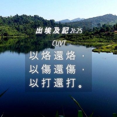 Picture 04 - 出 埃 及 記 21:25 CUVT - 以 烙 還 烙 ， 以 傷 還 傷 ， 以 打 - Bible Verse Picture