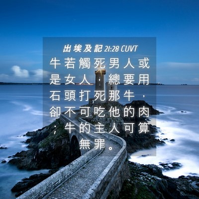 Picture 04 - 出 埃 及 記 21:28 CUVT - 牛 若 觸 死 男 人 或 是 女 人 ， 總 - Bible Verse Picture
