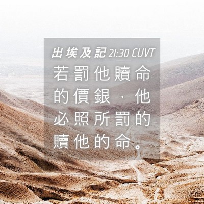 Picture 04 - 出 埃 及 記 21:30 CUVT - 若 罰 他 贖 命 的 價 銀 ， 他 必 照 - Bible Verse Picture