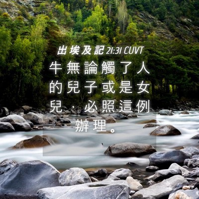 Picture 04 - 出 埃 及 記 21:31 CUVT - 牛 無 論 觸 了 人 的 兒 子 或 是 女 - Bible Verse Picture