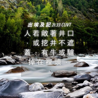 Picture 04 - 出 埃 及 記 21:33 CUVT - 人 若 敞 著 井 口 ， 或 挖 井 不 遮 - Bible Verse Picture