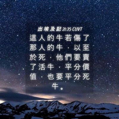 Picture 04 - 出 埃 及 記 21:35 CUVT - 這 人 的 牛 若 傷 了 那 人 的 牛 ， - Bible Verse Picture