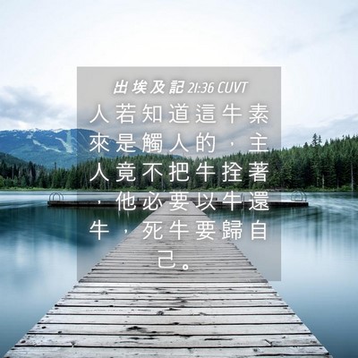 Picture 04 - 出 埃 及 記 21:36 CUVT - 人 若 知 道 這 牛 素 來 是 觸 人 的 - Bible Verse Picture