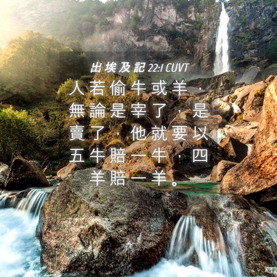 Picture 04 - 出 埃 及 記 22:1 CUVT - 人 若 偷 牛 或 羊 ， 無 論 是 宰 了 - Bible Verse Picture