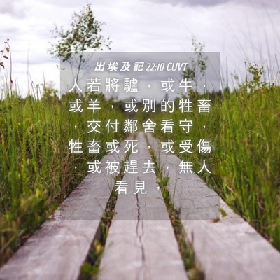 Picture 04 - 出 埃 及 記 22:10 CUVT - 人 若 將 驢 ， 或 牛 ， 或 羊 ， 或 - Bible Verse Picture