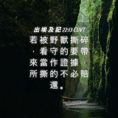 Picture 04 - 出 埃 及 記 22:13 CUVT - 若 被 野 獸 撕 碎 ， 看 守 的 要 帶 - Bible Verse Picture