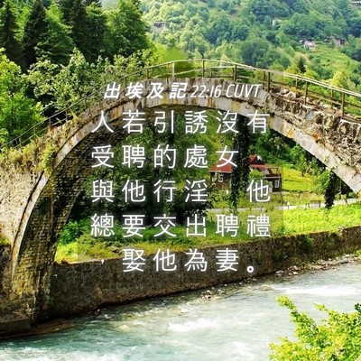 Picture 04 - 出 埃 及 記 22:16 CUVT - 人 若 引 誘 沒 有 受 聘 的 處 女 ， - Bible Verse Picture