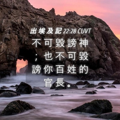 Picture 04 - 出 埃 及 記 22:28 CUVT - 不 可 毀 謗 神 ； 也 不 可 毀 謗 你 - Bible Verse Picture