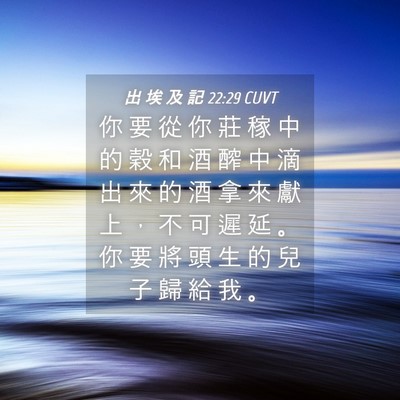 Picture 04 - 出 埃 及 記 22:29 CUVT - 你 要 從 你 莊 稼 中 的 穀 和 酒 醡 - Bible Verse Picture
