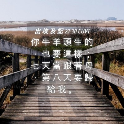Picture 04 - 出 埃 及 記 22:30 CUVT - 你 牛 羊 頭 生 的 ， 也 要 這 樣 ； - Bible Verse Picture
