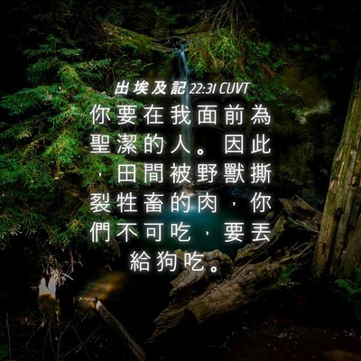 Picture 04 - 出 埃 及 記 22:31 CUVT - 你 要 在 我 面 前 為 聖 潔 的 人 。 - Bible Verse Picture