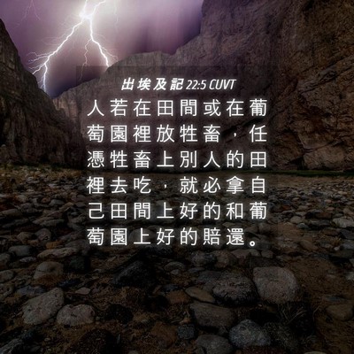 Picture 04 - 出 埃 及 記 22:5 CUVT - 人 若 在 田 間 或 在 葡 萄 園 裡 放 - Bible Verse Picture