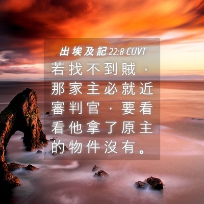 Picture 04 - 出 埃 及 記 22:8 CUVT - 若 找 不 到 賊 ， 那 家 主 必 就 近 - Bible Verse Picture