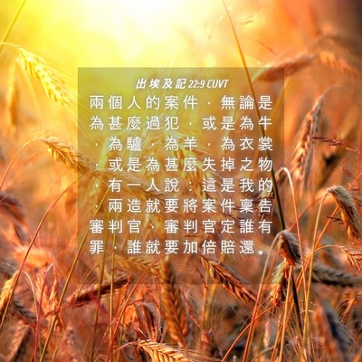 Picture 04 - 出 埃 及 記 22:9 CUVT - 兩 個 人 的 案 件 ， 無 論 是 為 甚 - Bible Verse Picture