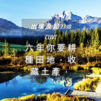 Picture 04 - 出 埃 及 記 23:10 CUVT - 六 年 你 要 耕 種 田 地 ， 收 藏 土 - Bible Verse Picture