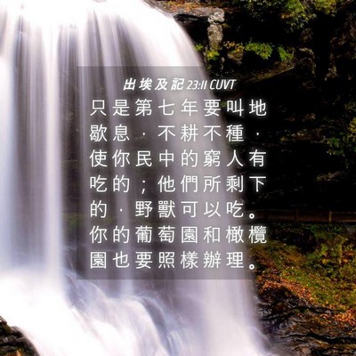 Picture 04 - 出 埃 及 記 23:11 CUVT - 只 是 第 七 年 要 叫 地 歇 息 ， 不 - Bible Verse Picture
