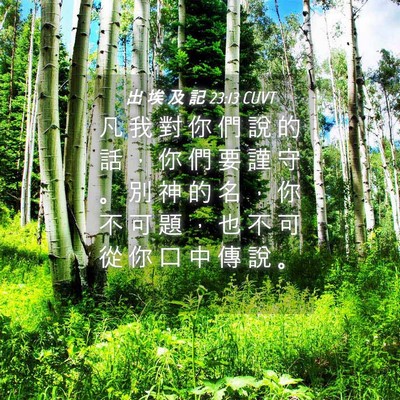Picture 04 - 出 埃 及 記 23:13 CUVT - 凡 我 對 你 們 說 的 話 ， 你 們 要 - Bible Verse Picture