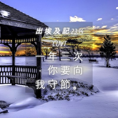 Picture 04 - 出 埃 及 記 23:14 CUVT - 一 年 三 次 ， 你 要 向 我 守 節 - Bible Verse Picture
