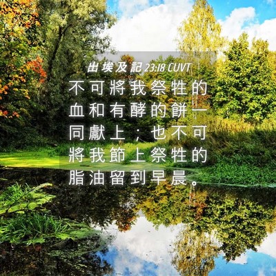 Picture 04 - 出 埃 及 記 23:18 CUVT - 不 可 將 我 祭 牲 的 血 和 有 酵 的 - Bible Verse Picture